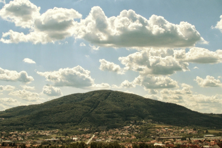bukulja