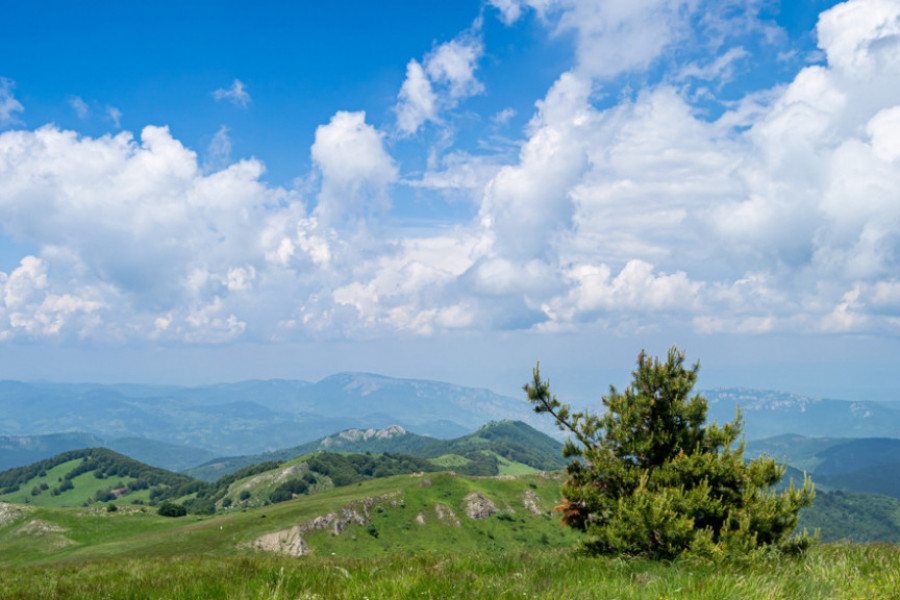 Planina Ruj