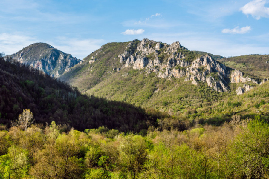 Planina Ruj