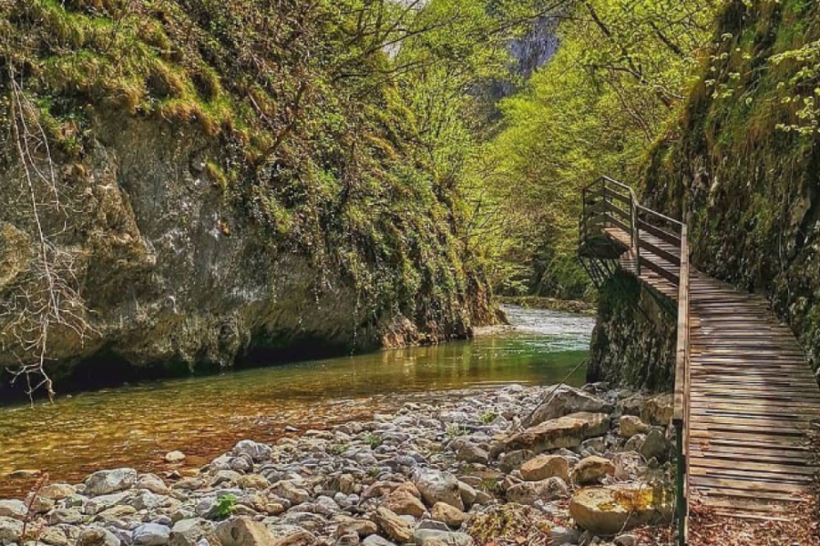 visočka banja