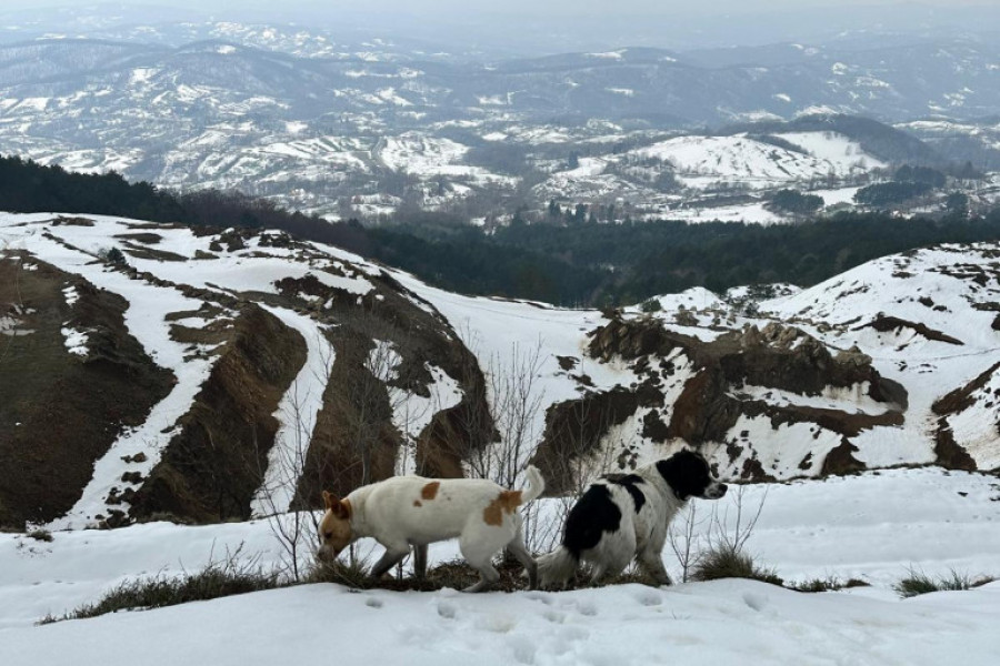 planina Rudnik