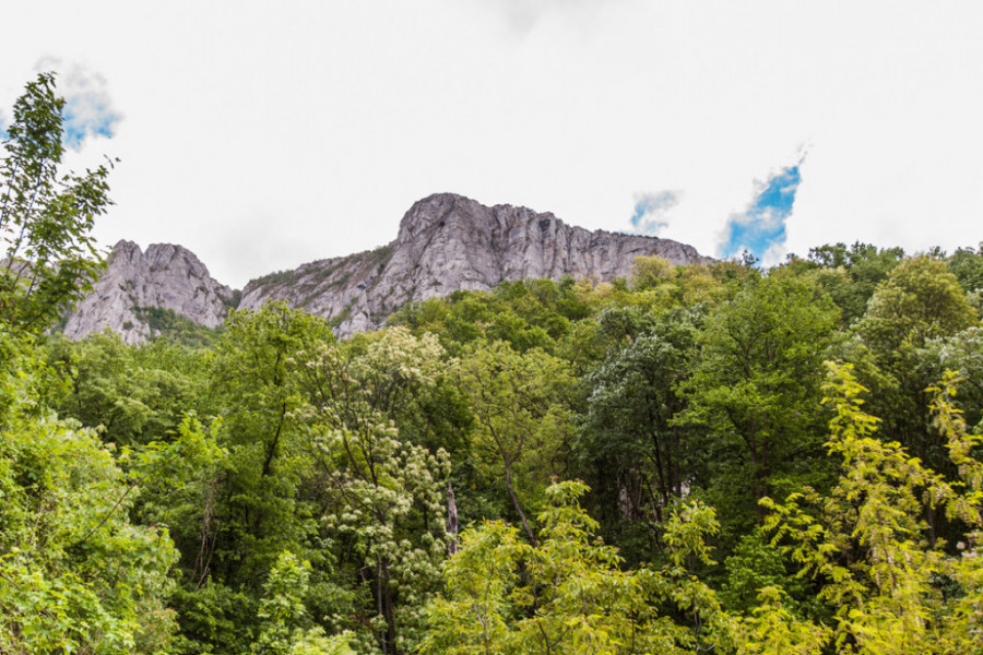 planina Miroč