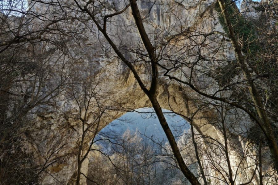planina Miroč