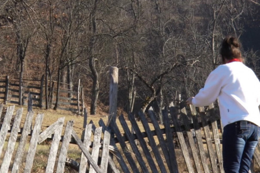 poljoprivredno gazdinstvo