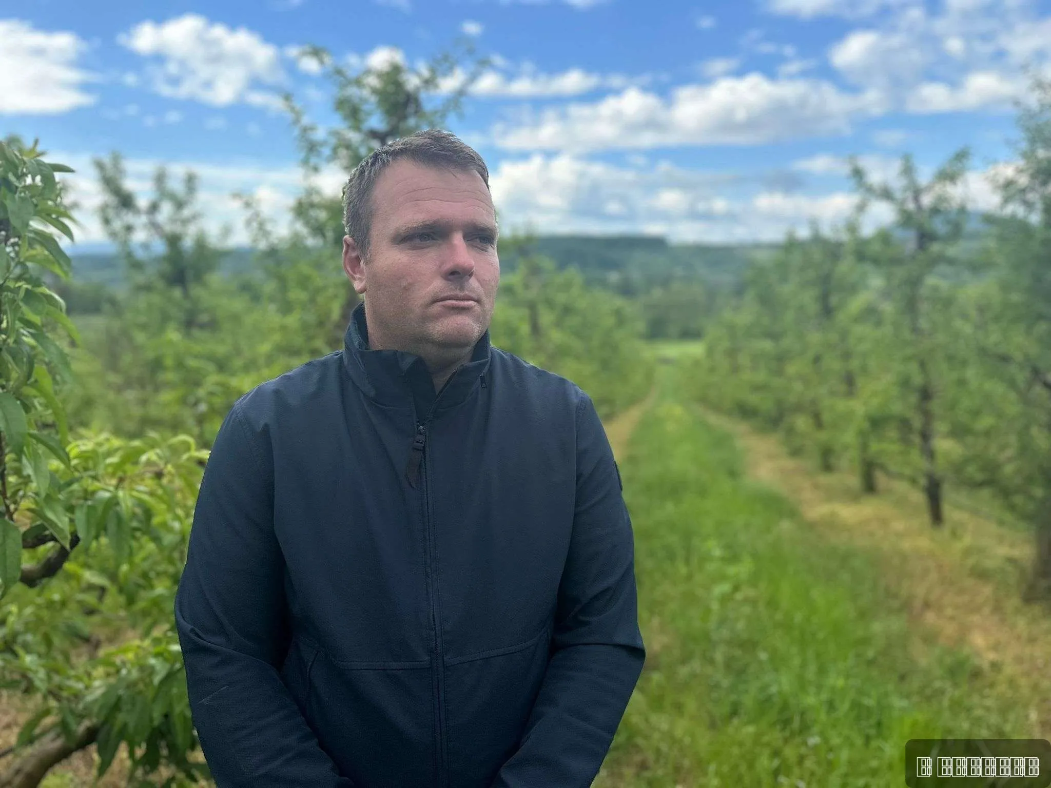 Nenad Nenad