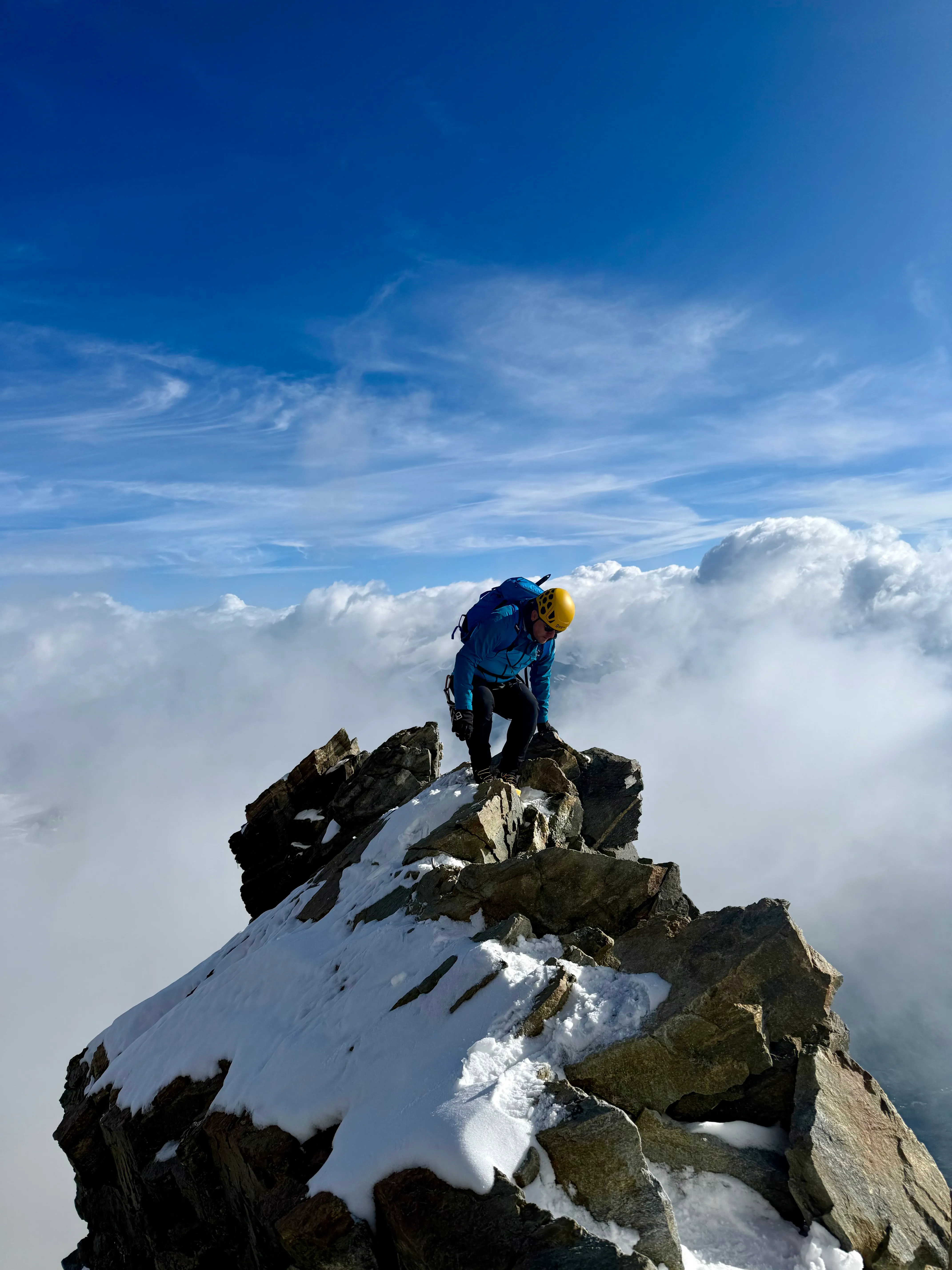 Alpi