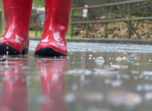 DANAS TEMPERATURA I DO 11 STEPENI Evo kakvo nas vreme očekuje u narednom periodu