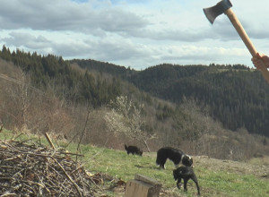 SIGURNOST ŠVEDSKE MENJALI ZA LEPOTE SRBIJE Ristanovići su svoju sreću našli u selu Ojkovica kod Nove Varoši