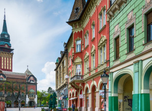 PRELEP GRAD NA SEVERU SRBIJE U nekada bogatom gradu koji je bio centar Bačke ostale su građevine iz tog perioda koje podsećaju na period uzleta i bogatstva Subotice