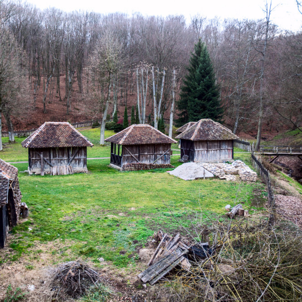 ZNAMENITO MESTO BRANKOVINA Selo u kome je odrasla i sahranjena Desanka Maksimović