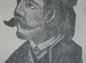 STOGODIŠNJE STABLO Ispod ovog hrasta je kapetan Koča poveo narod u borbu protiv Turaka