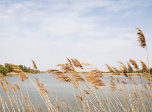 NAJVEĆE SELO U SRBIJI Rodno mesto patrijarha srpskog Porfirija