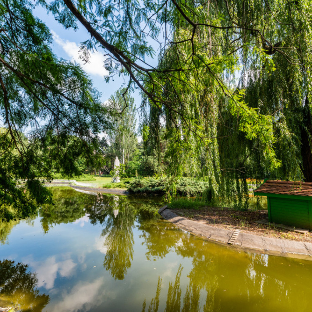NEKAD RUKAVAC DUNAVA DANAS NAJLEPŠI DEO NOVOG SADA Park sa prelepim jezerom i dosta biljnih vrsta
