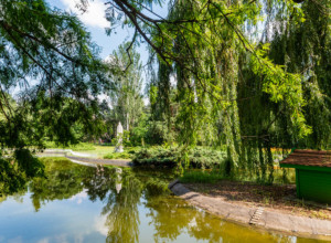 NEKAD RUKAVAC DUNAVA DANAS NAJLEPŠI DEO NOVOG SADA Park sa prelepim jezerom i dosta biljnih vrsta