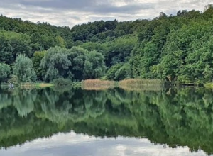 IDILIČNO MESTO NA JUGU SRBIJE Mesto skriveno bujnom prirodom predstavlja pravu atrakciju za ribolovce i ljubitelje prirode