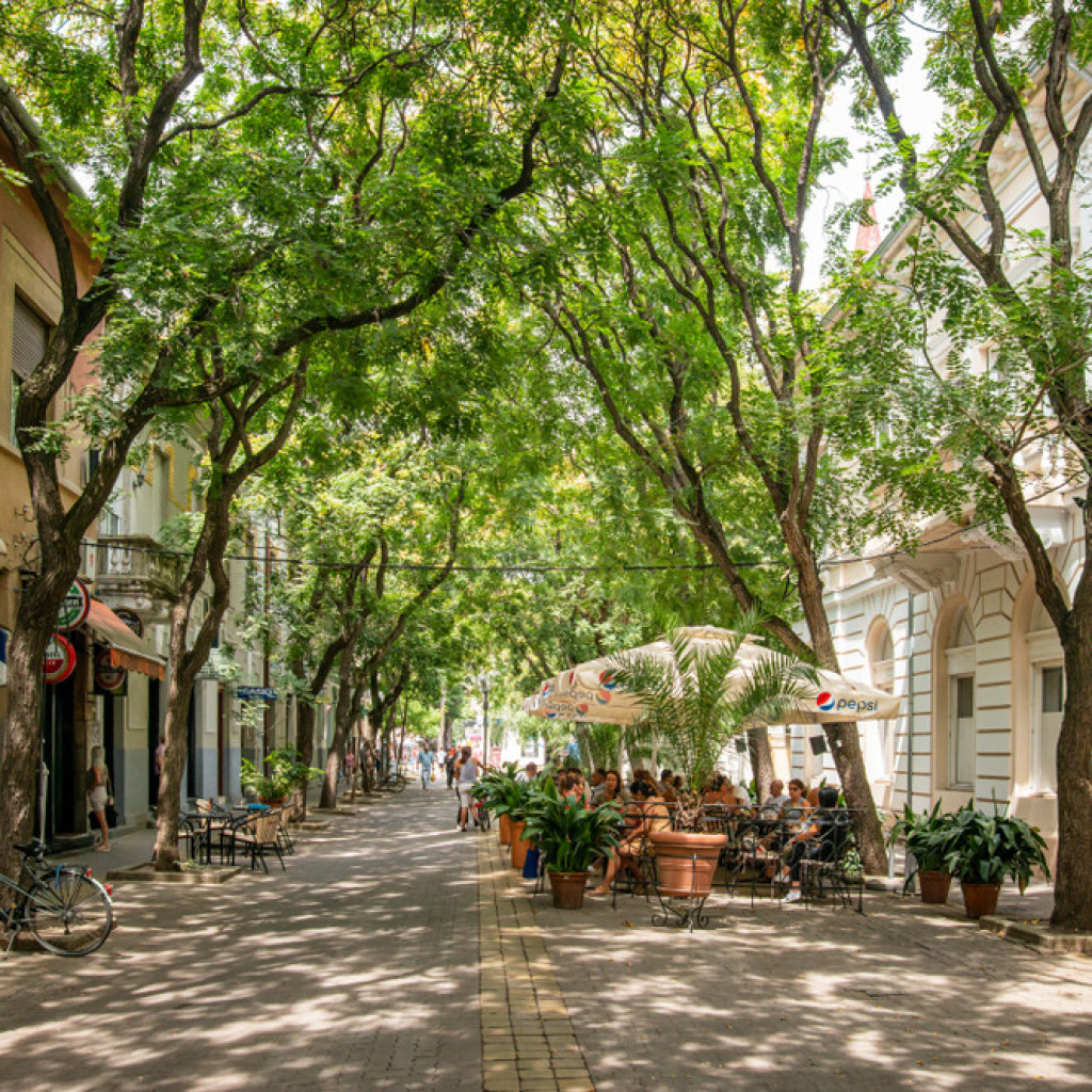 IGRA SVETLA I SENKI Ovaj srpski grad krije jednu od najlepših ulica na svetu, prepunu jedinstvenog drvoreda i cvetnih aleja!