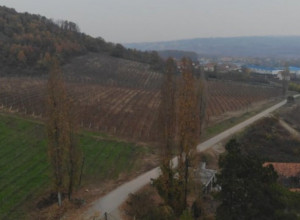 KARAĐORĐEVIĆI SADILI VINOGRADE U SRPSKOJ TOSKANI Sa kraljevskom etiketom njihovo vino obilazi čitav svet, a posebne flaše se čuvaju pod ključem (FOTO)