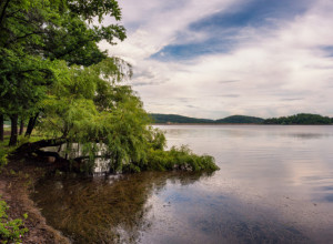 SRPSKO ČUDOVIŠTE IZ LOH NESA Jezero gde meštani tvrde da im stoka misteriozno nestaje