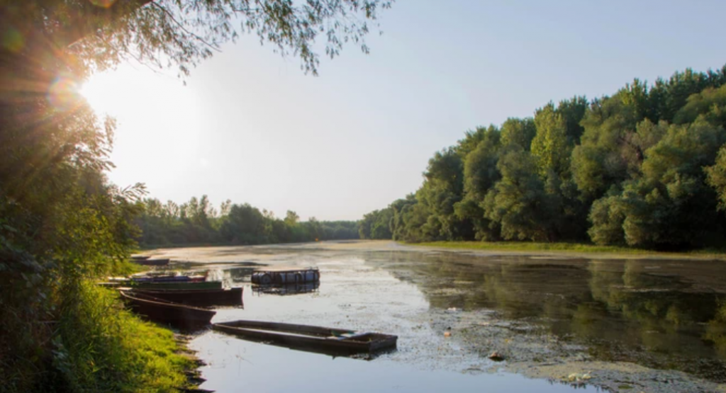 SRPSKI KO-ČANG ILI DUNAVSKI MALDIVI Oaza sa netaknutom prirodom u kojoj ćete uživati u pesku, vodi i neobičnom rečnom rastinju