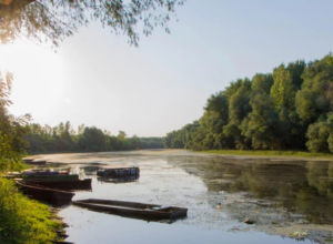 SRPSKI KO-ČANG ILI DUNAVSKI MALDIVI Oaza sa netaknutom prirodom u kojoj ćete uživati u pesku, vodi i neobičnom rečnom rastinju