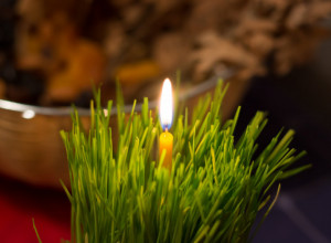 NEKI ZA ARANĐELOVDAN SPREMAJU ŽITO, A NEKI NIPOŠTO Evo kako treba i zašto baš tako