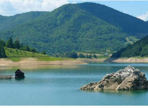 "FORBS" UVRSTIO SRPSKU PLANINU U TOP PET PRIRODNIH ČUDA Na Tepih livadi rastu retke vrste od značaja za opstanak čovečanstva (FOTO)