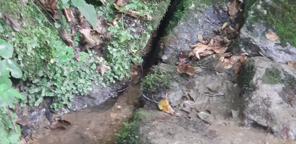LEKOVITI IZVORI U SRBIJI Mesto sakriveno na Suvoboru bogato lekovitom vodom