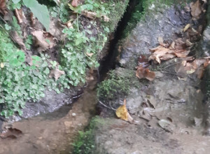 LEKOVITI IZVORI U SRBIJI Mesto sakriveno na Suvoboru bogato lekovitom vodom