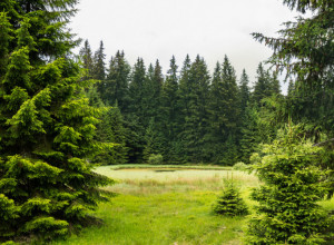 LEGENDE O OVOM MESTU LEDE KRV U ŽILAMA Netaknuti biser prirode i gorsko oko jedne od najlepših srpskih planina