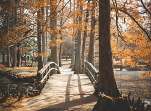 PRIČA O NASTANKU KAMENIČKOG PARKA Neverovatna ljubavna saga grofa Gvida Karačonjija i grofice Marije Marcibanji!
