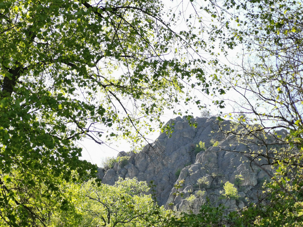 OVO BI MOGLO BITI NAJBOGATIJE SELO U SRBIJI U srcu Šumadije na 200 metara nalazi se čak 10 izvora zdrave pijaće vode (FOTO)