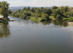 AKCIJA KOJA TRAJE PREKO POLA VEKA  Do kraja januara sprovodi se Međunarodni popis ptica vodenih staništa