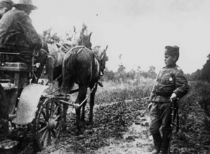 NAJMLAĐI SRPSKI JUNAK Nemci su mu ubili celu porodicu, kad je video majora obgrlio mu čizme i zajecao: "Čiko, sve su mi ubili…"