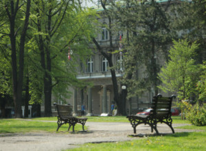 JEDAN OD NAJLEPŠIH U BEOGRADU Spomenik prirode, Pionirski park