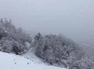 SRPSKI SIBIR DOBIO KONKURENCIJU Jutro u selima Zapadne Srbije osvanulo u debelom minusu