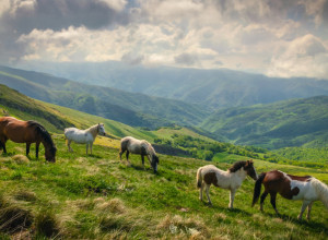 NEDOVOLJNO ISTRAŽENA PLANINA Poslednjih godina sve posećenija! (VIDEO)
