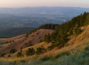 PLANINA OZREN Srednjevekovno utvrđenje Soko grad i ostale atrakcije (VIDEO/FOTO)