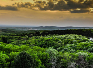 VOJVODINA NIJE SAMO RAVNICA  Plato sa najvećim brojem slojeva fosilne zemlje i lesnih horizonata u našoj zemlji