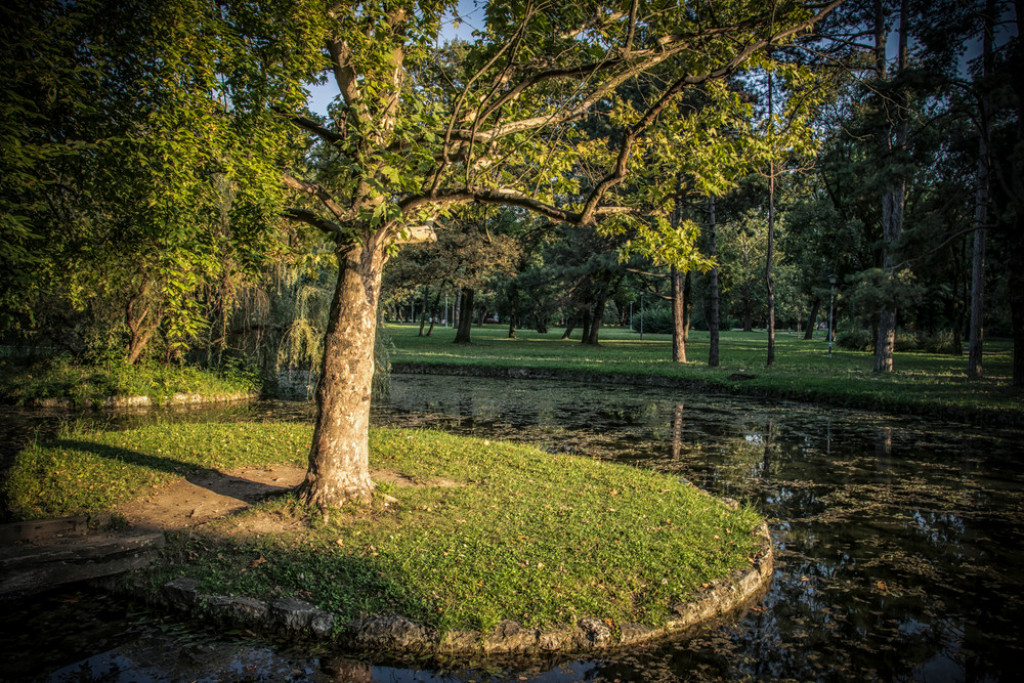 PRVI PARK U BEOGRADU Jedno od najomiljenijih izletišta Beograđana (VIDEO)