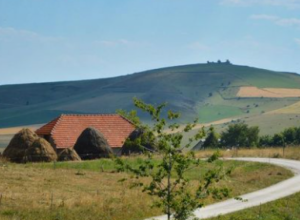 OPEVANA U PESMAMA Jedna od "najlekovitijih" planina u Srbiji (VIDEO)