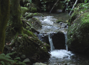 OVDE SE LEČILO POLA BIVŠE JUGOSLAVIJE Zaboravljena srpska banja koja zaslužuje da joj se posveti posebna pažnja (FOTO)