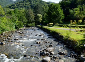 ZELENA VRATA KOPAONIKA Banja koju je Josif Pančić često posećivao