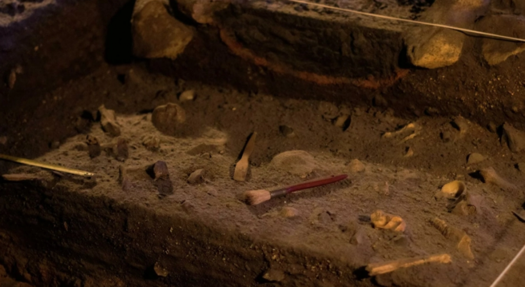 NEVEROVATNO OTKRIĆE U VOJVODINI U grobnicama pronađene kosti obojene u crveno