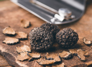 TARTUF-MANIJA HARA SRBIJOM Dnevno se može zaraditi i do 5.000 evra, a na ovim mestima raste blago