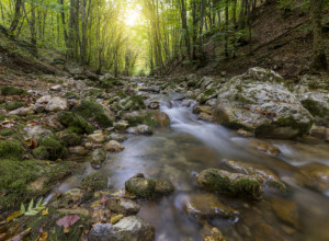 ZLATNA GROZNICA! Najsitnije čestice ZLATA se i danas mogu naći u koritima ovih reka