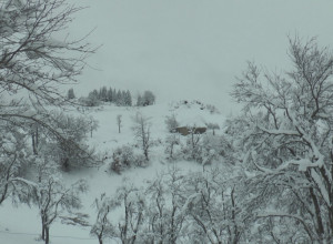 NAMIRNICE KUPUJU SVE DO PROLEĆA Ovako žive meštani planinskih sela na Zlataru, tamo vanredna situacija još uvek traje (FOTO)