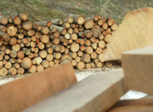 VLADA OGROMNA POTRAŽNJA ZA DRVIMA Metar kvalitetne građe sada košta i do 8.000 dinara, ugalj još skuplji (FOTO)