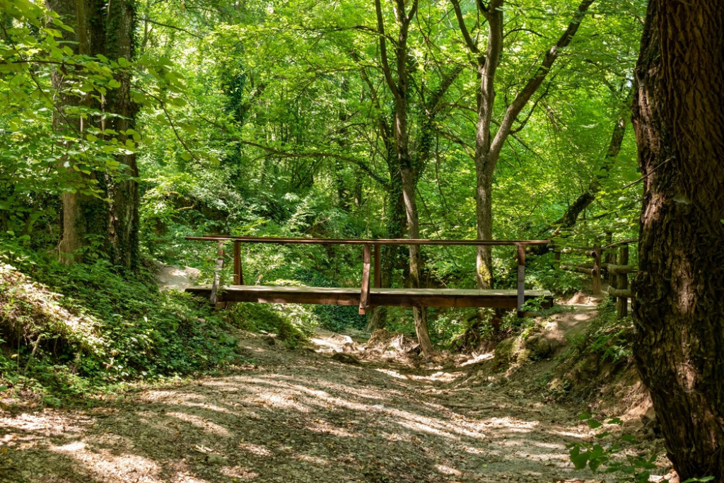 LEKOVITE BANJE SRBIJE Kombinacija lekovitih izvora mineralne vode, raskošne i bogate prirode predstavljaju pravi užitak za turiste svih uzrasta