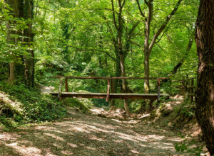 LEKOVITE BANJE SRBIJE Kombinacija lekovitih izvora mineralne vode, raskošne i bogate prirode predstavljaju pravi užitak za turiste svih uzrasta