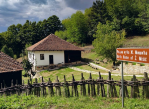 DANAS MEMORIJALNI KOMPLEKS Rodna kuća Živojina Mišića, nepokretno dobro kao spomenik kulture od velikog značaja